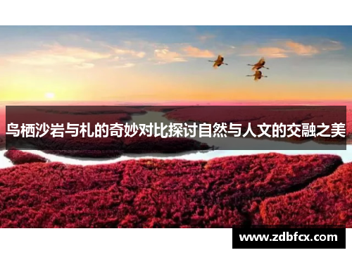 鸟栖沙岩与札的奇妙对比探讨自然与人文的交融之美